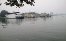 Cá chết ở hồ Tây: Do nước nhiễm độc?