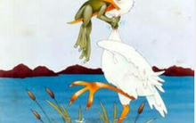 Công ty tư vấn đầu tư Hướng Việt chi 90 tỷ đồng thâu tóm VISecurities