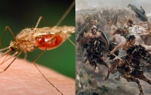 Không phải ung thư, chẳng phải Ebola, đây mới là căn bệnh nguy hiểm nhất lịch sử loài người