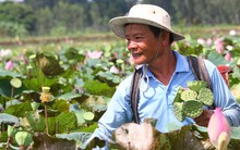 Sống chung với... không có lũ