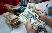 Áp lực tăng tỷ giá trong ngắn hạn không lớn như lãi suất