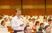 Đại biểu Quốc hội: Đánh giá tăng trưởng “ở mức hợp lý” chỉ là cảm tính và tự an ủi