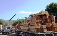 Mỹ, Trung Quốc vượt Lào về xuất gỗ vào Việt Nam