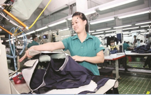 Dệt may G.Home: Hàng loạt lãnh đạo đăng ký bán sạch quyền mua cổ phiếu