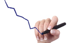 PITCO báo lỗ hơn 7 tỷ đồng năm 2015