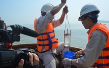 19 lần quan trắc, nước biển tại Nghệ An đều an toàn