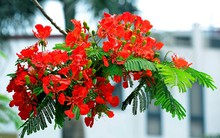 Chứng khoán tháng 5: “Sell in May” sẽ lặp lại?