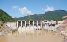 Sông Đà IDC chốt danh sách cổ đông phát hành cổ phiếu trả cổ tức và thưởng tỷ lệ 100%