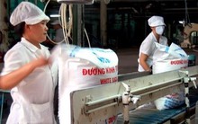 Đường thiếu, liệu giá có tăng?