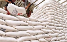 Gạo Việt cần chú trọng chất lượng hơn là chạy theo sản lượng