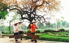 Quỹ đầu tư nước ngoài ồ ạt đổ tiền vào chứng khoán Việt Nam để đón đầu tăng trưởng