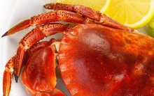 Những thực phẩm giàu vitamin B12 giúp tăng sức đề kháng