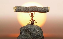 5 thói quen không bao giờ có ở người giàu nhưng luôn thấy ở kẻ nghèo