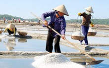 Giá muối xu hướng giảm, tồn kho tăng tới 66%