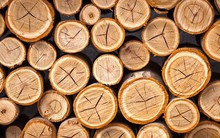 Nhiều đơn hàng gỗ dịch chuyển từ Trung Quốc sang Việt Nam