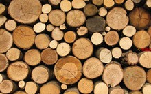 Gỗ ngoại đang “đổ bộ” vào thị trường Việt