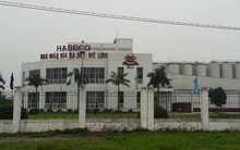 Habeco để dự phòng 444 tỷ đồng cho khoản thuế tiêu thụ đặc biệt