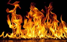 Sớm “nướng” hết 150 tỷ, website thương mại điện tử Lingo.vn buộc phải đóng cửa?