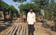 TP.HCM họp báo về kinh tế-xã hội, nóng với vụ 'Xin Chào', 'Chòi vịt'