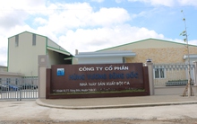 Hùng Vương vận hành nhà máy chế biến bột cá biển