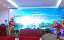 IJC: ĐHCĐ thông qua phương án giảm vốn hơn ngàn tỷ