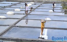 Diêm dân Sa Huỳnh lao đao vì giá muối rẻ mạt