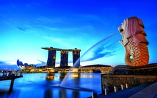 Start up Việt sang Singapore lập doanh nghiệp: 1 USD và 2 ngày
