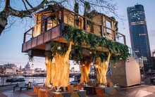 Xuất hiện ngôi nhà cây độc đáo giữa thành phố London