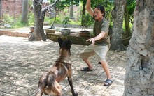 Soi nhà đẹp của các danh hài từ Bắc vào Nam