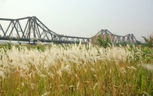 Đề xuất làm công viên đô thị ở bãi giữa sông Hồng