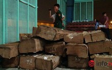Lại phát hiện 2 container nghi là ngà voi nhập lậu, giấu trong gỗ