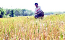 Trung Quốc thông báo kế hoạch xả nước trên sông Mekong