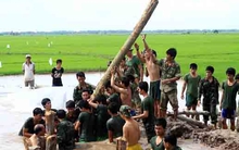 Nông nghiệp thời hạn mặn