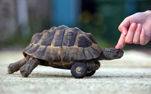 Chọn thị trường ngách ở “tỉnh lẻ”, cổ phiếu của doanh nghiệp này đã tăng bất chấp thị trường thời gian qua