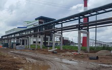 Thanh tra Nhà máy giấy Lee & Man: Dư luận đồng tình