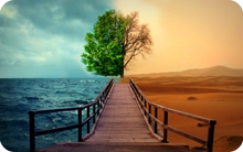 Lợi nhuận doanh nghiệp thủy sản: Hai nửa sáng tối