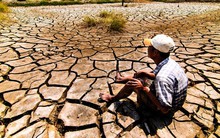 Hạn mặn kỷ lục: Thời điểm chín muồi cho tái cơ cấu nông nghiệp ở ĐBSCL?