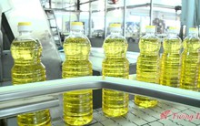 Quản lý quỹ Đầu tư Chứng khoán Việt Long đã bán hơn 23% vốn Dầu Tường An