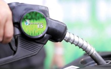 Sớm thay thế hoàn toàn xăng A92 bằng xăng E5