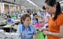 Garmex Sài Gòn (GMC): Chốt quyền nhận cổ tức 30% bằng tiền và chào bán cổ phiếu giá 15.000 đồng