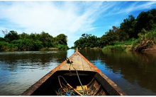 [Case Study] Vì sao các dự án thủy điện tiểu vùng sông Mê Kông nên dừng hoạt động vô thời hạn?