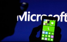 Microsoft Việt Nam bỗng dưng nộp gần 200 tỷ thuế thu nhập doanh nghiệp