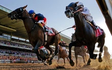 Ấm cùng thị trường bất động sản, hàng loạt cổ phiếu vật liệu xây dựng đã tăng gấp đôi, gấp 3 so với giai đoạn đầu năm