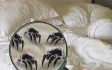 5 yếu tố gây hại sức khỏe từ môi trường sống