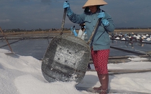 Diêm dân thờ ơ trước vụ muối mới