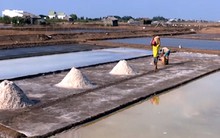 Diêm dân lại “lao đao” vì muối được mùa mất giá