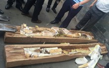 Lại phát hiện một tấn ngà voi trong hai container