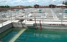 CII đã chuyển nhượng toàn bộ cổ phần tại BOO Nước Đồng Tâm cho Nhựa Đồng Nai?