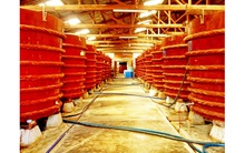 Phó chủ tịch Hiệp hội nước mắm Phan Thiết: “Vinastas đang làm méo mó hình ảnh của những người sản xuất nước mắm truyền thống”