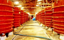 Nam Ngư, Chinsu lao dốc, nước mắm Phú Quốc có đủ sức xông lên?